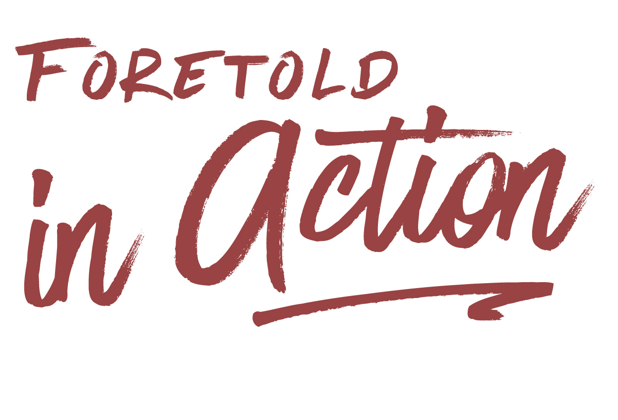 Bug-Foretold in Action4